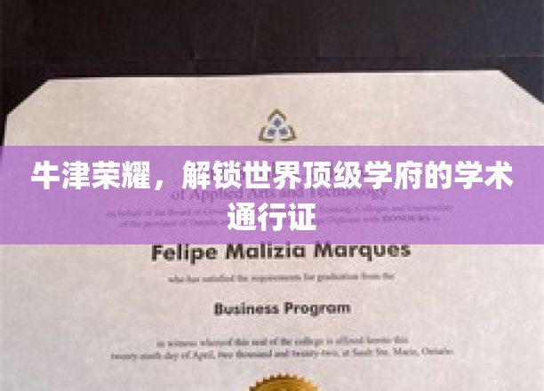 解码牛津精英，探寻全球顶尖学府的学术钥匙