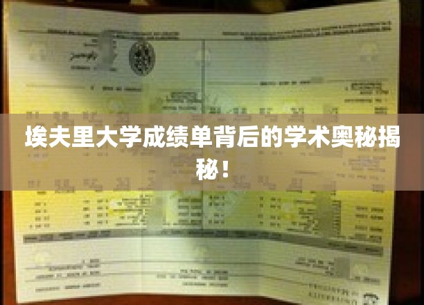 探索埃夫里大学成绩单背后的神秘学术世界
