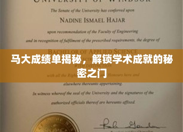 马大成绩单揭秘，解锁学术成就的秘密之门
