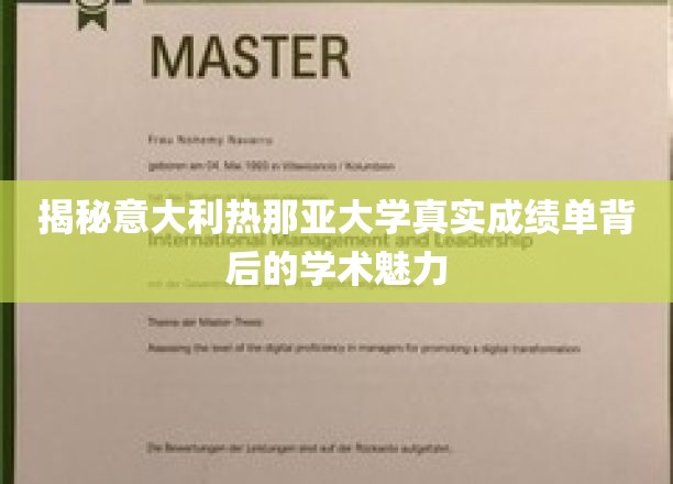 解码热那亚大学成绩单，探寻学术殿堂的秘密魅力