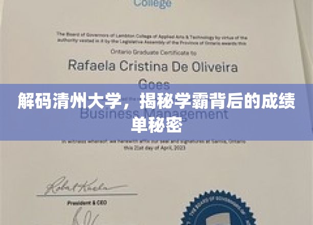 揭开清州学霸传奇，一纸成绩单背后的非凡奥秘