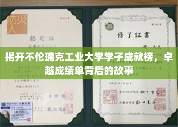 不伦瑞克工业大学辉煌榜，揭秘学子卓越成就背后的秘密力量