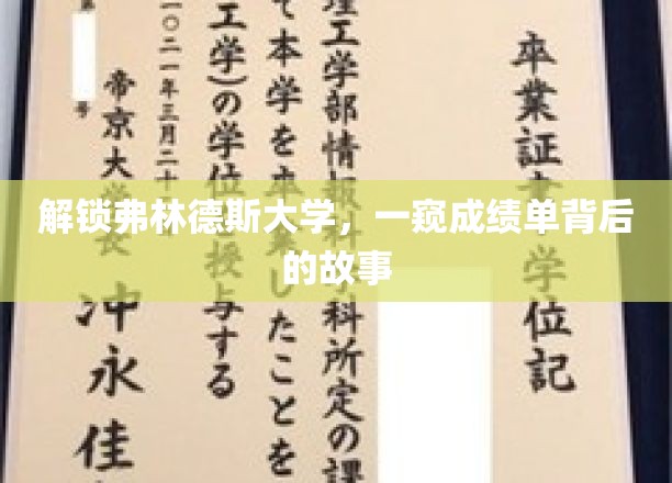 解锁弗林德斯大学，一窥成绩单背后的故事