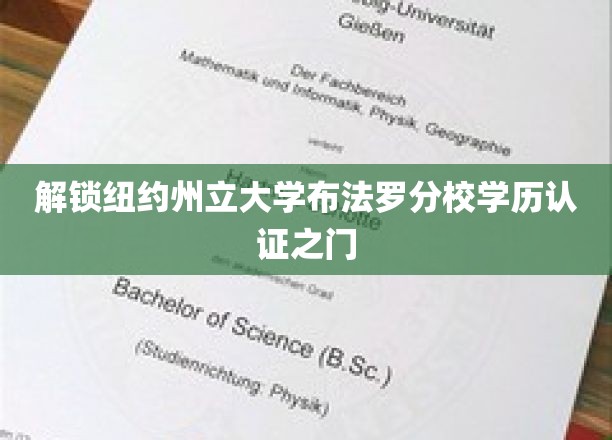 纽约州立大学布法罗分校学历认证攻略，轻松开启你的学历认证之旅