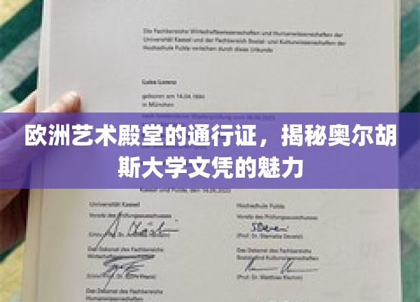 探索丹麦艺术明珠，奥尔胡斯大学文凭的独特魅力