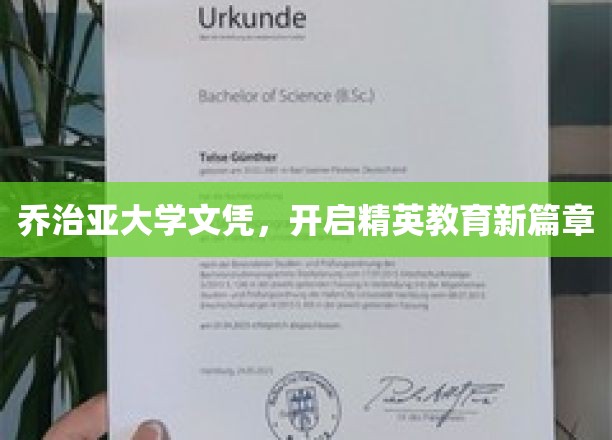 乔治亚大学文凭，开启精英教育新篇章