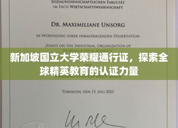 新加坡国立大学荣耀通行证，探索全球精英教育的认证力量