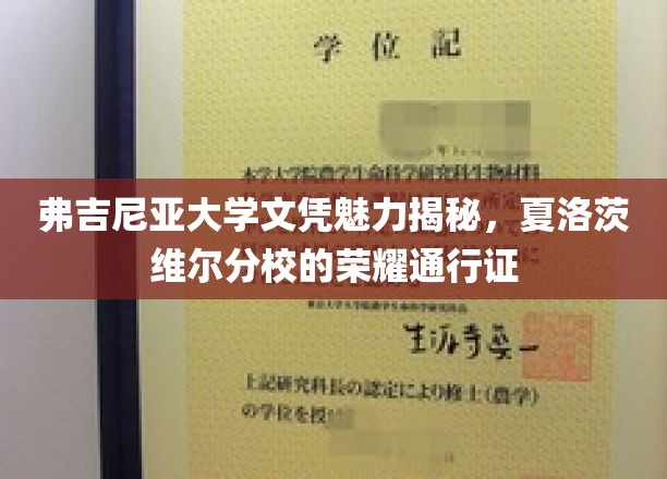 弗吉尼亚大学文凭魅力揭秘，夏洛茨维尔分校的荣耀通行证