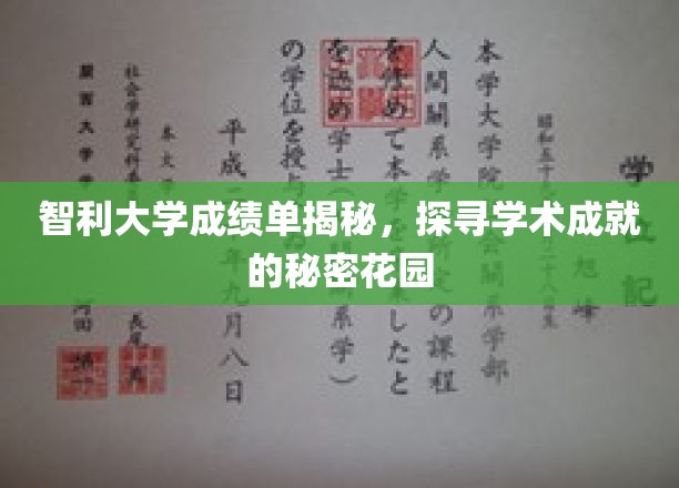 智利大学成绩单背后的学术秘境，一窥学术成就的神秘世界