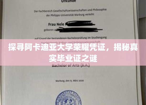 阿卡迪亚荣耀证之谜，探寻毕业证的神秘面纱