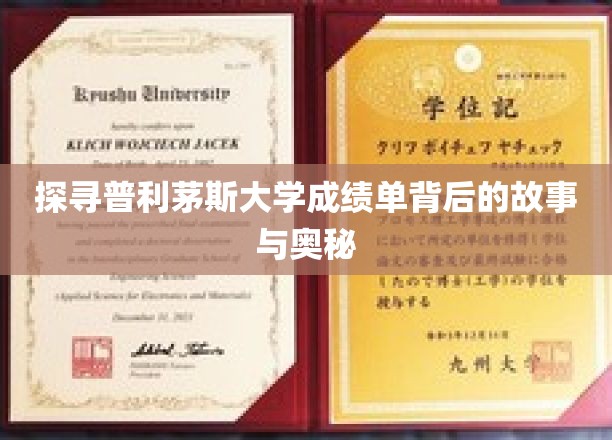 揭开普利茅斯大学成绩单的神秘面纱，揭秘背后的教育智慧