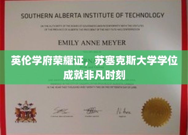 英伦学位荣耀绽放，苏塞克斯大学学子成就非凡里程碑