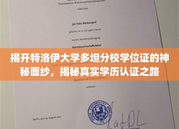 探寻特洛伊大学多坦分校学位证背后的真实认证奥秘