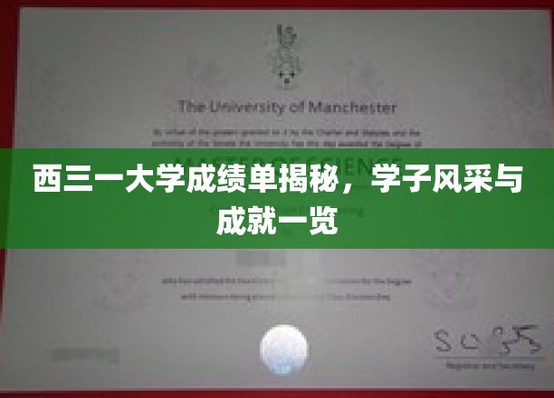 探寻西三一大学学子荣耀瞬间，成绩单背后的辉煌成就