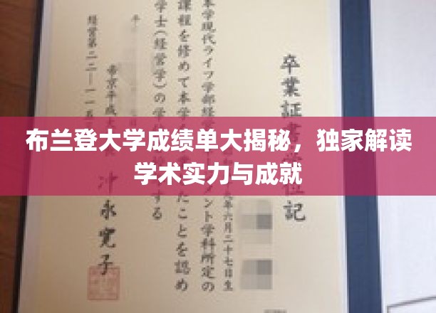 布兰登大学成绩单深度解析，揭秘学术实力与卓越成就