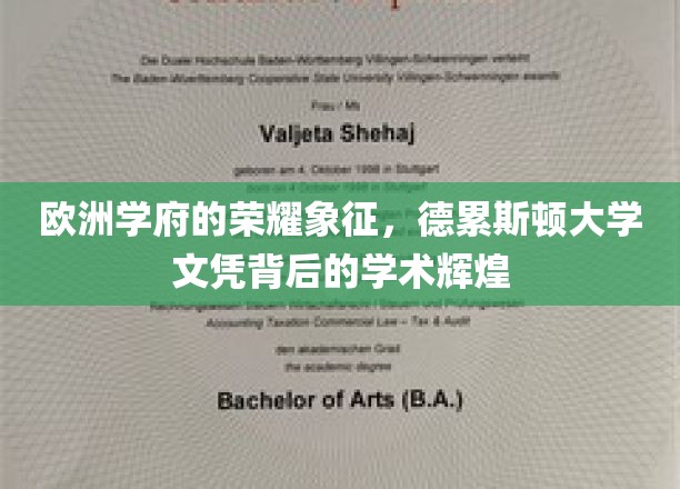 德累斯顿大学的荣耀名片，探寻欧洲顶级学府的学术传奇