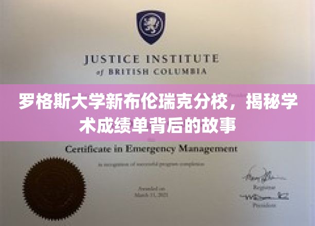 罗格斯大学新布伦瑞克分校，探寻学术成绩单背后的故事