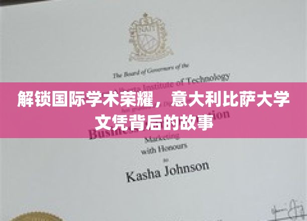 探寻比萨大学国际学位的传奇之路