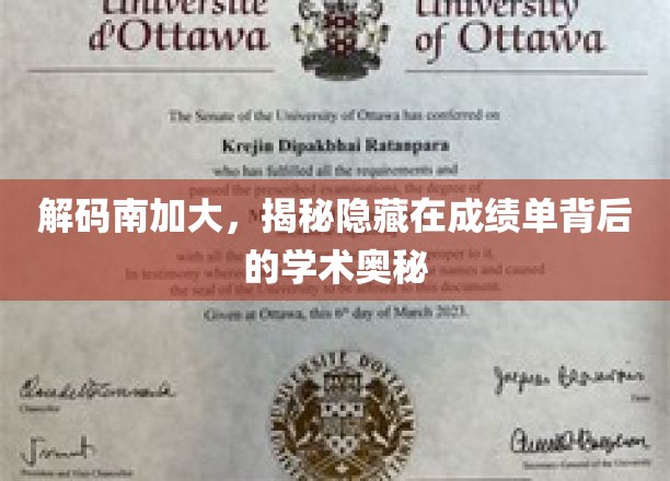 探寻南加大卓越背后的学术秘境