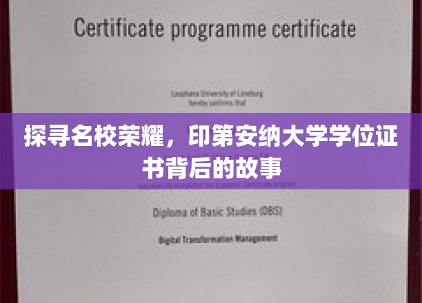 解码印第安纳大学，学位证书背后的传奇历程