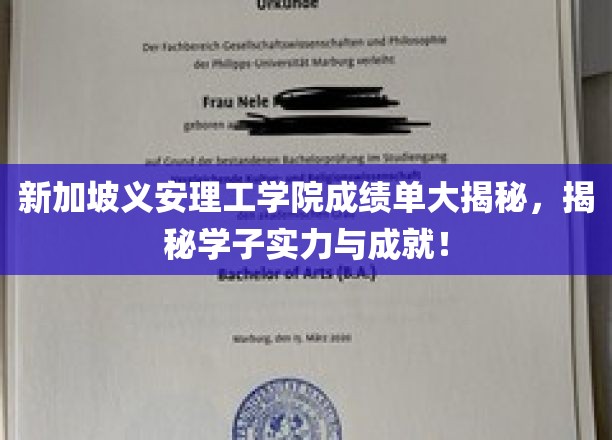 新加坡义安理工学院成绩单大揭秘,揭秘学子实力与成就!