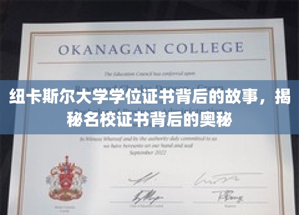 纽卡斯尔大学学位证书背后的故事，揭秘名校证书背后的奥秘