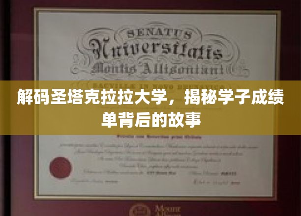 圣塔克拉拉大学学霸养成记，揭秘成绩单背后的秘密世界