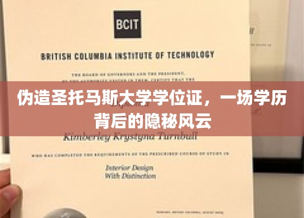 学历迷雾，揭秘伪造圣托马斯大学学位证的暗流涌动