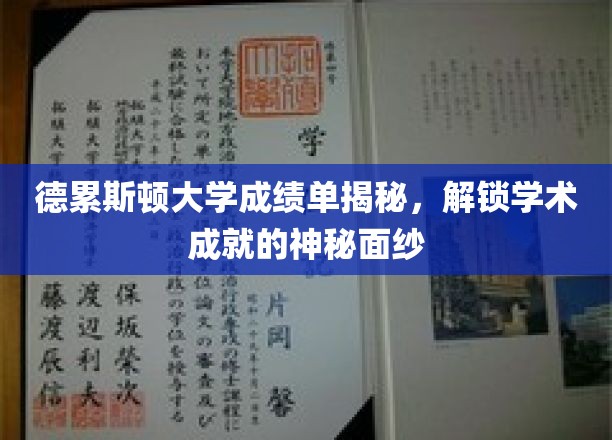 德累斯顿大学成绩单背后，揭秘学子卓越成就的奥秘之旅