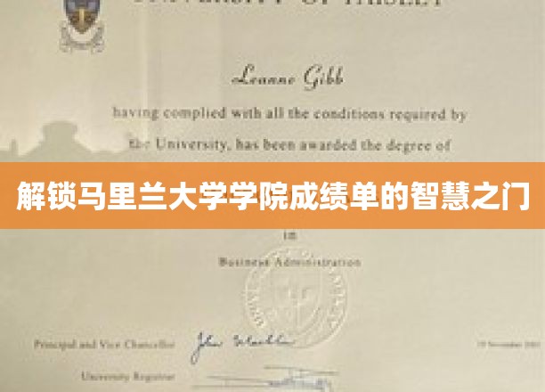 揭示马里兰大学成绩单背后的神秘密码