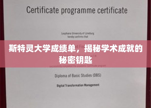 斯特灵大学成绩单，揭示学术成就的奥秘