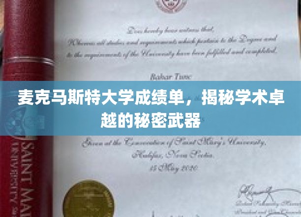 麦克马斯特大学成绩单，揭示学术卓越的奥秘