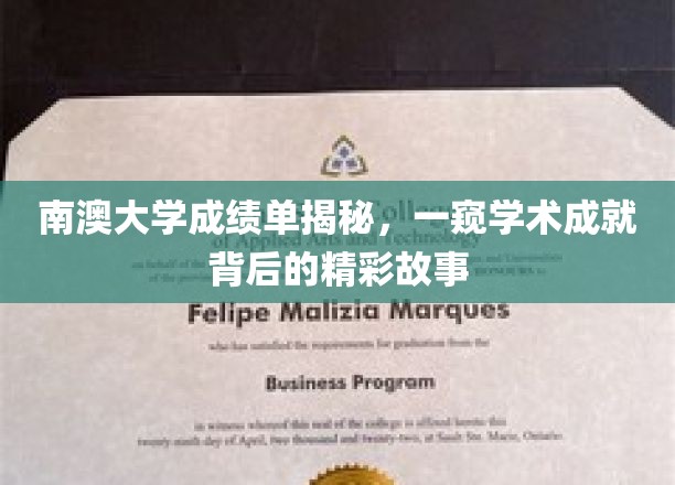 南澳大学成绩单揭秘，一窥学术成就背后的精彩故事