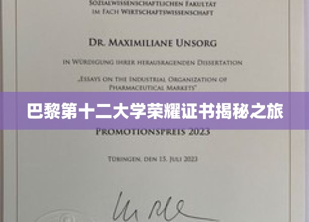 探寻巴黎第十二大学荣耀证书背后的传奇故事
