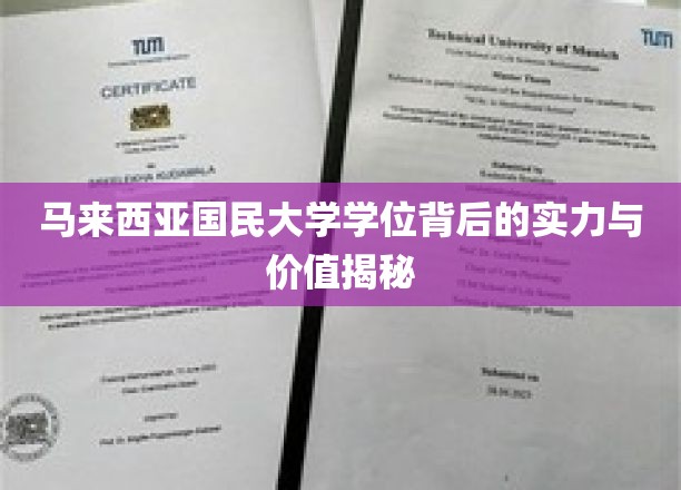 马大文凭背后的黄金底蕴，探究马来西亚国民大学的实力与价值