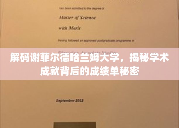 探寻谢菲尔德哈兰姆大学卓越成就的幕后成绩单之谜