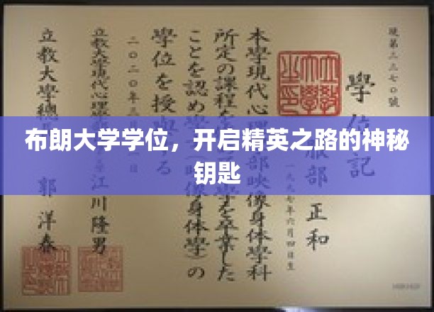解锁精英之门，布朗大学学位，你的卓越通行证