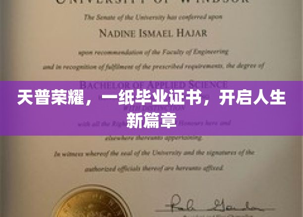 天普荣耀，一纸毕业证书，开启人生新篇章