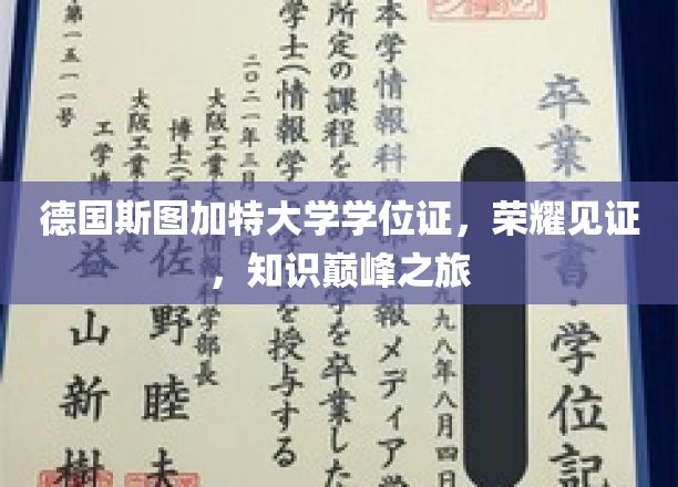 斯图加特大学荣耀瞬间，学位证书映照知识巅峰之旅