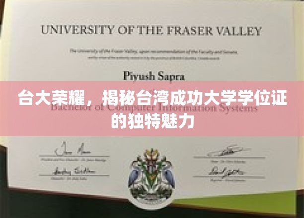 台大荣耀，揭秘台湾成功大学学位证的独特魅力
