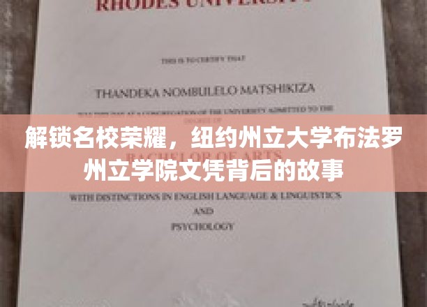 探寻纽约州立大学布法罗学院，揭开荣耀文凭的神秘面纱