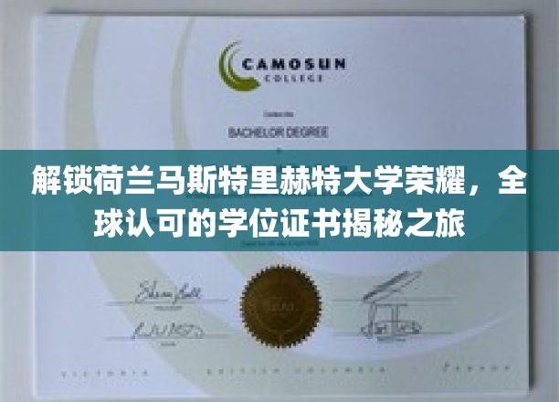 荷兰马斯特里赫特大学学位证书背后的全球认可之谜揭晓