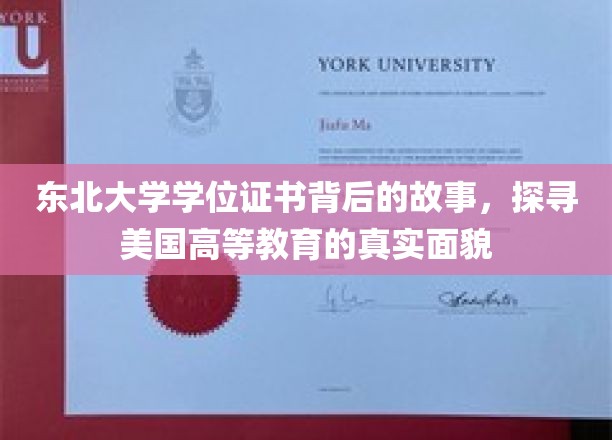 东北大学学位证之谜，一探美国高等教育背后的真实图景