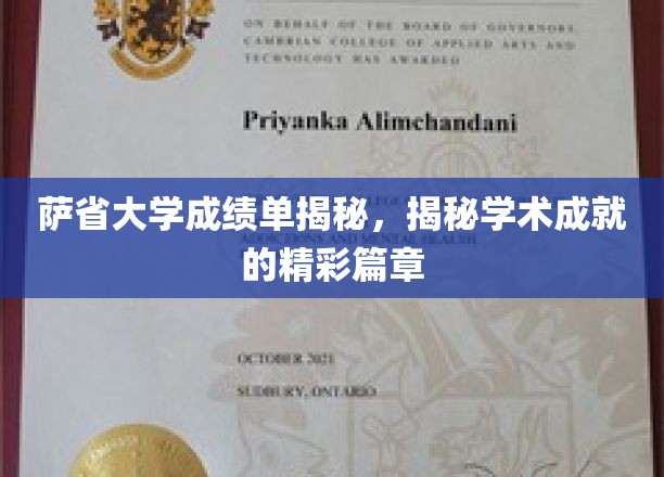 萨省大学成绩单揭秘，探寻学术成就的精彩篇章