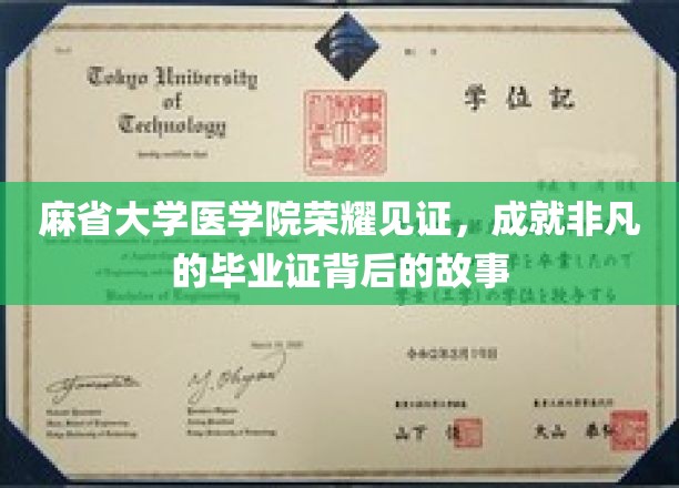 麻省大学医学院荣耀见证，成就非凡的毕业证背后的故事