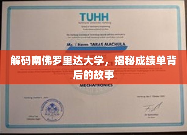 解码南佛罗里达大学，揭秘成绩单背后的故事
