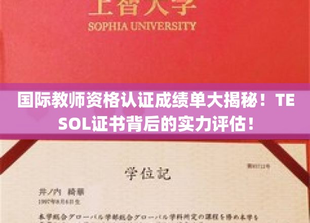 解码国际教师资格证书，TESOL背后的深度实力解析