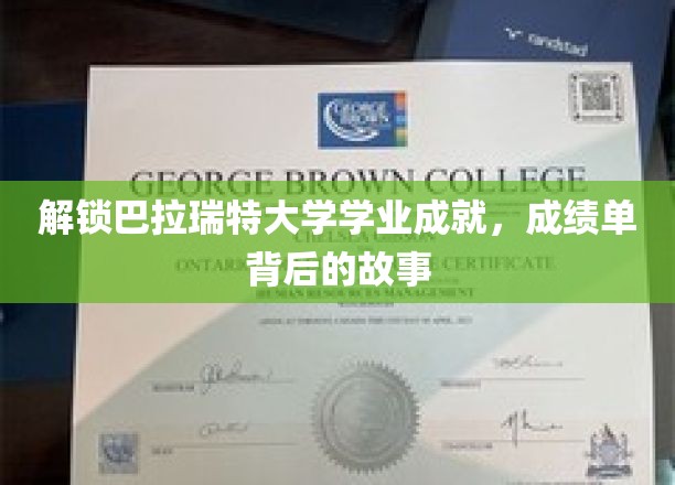 探寻巴拉瑞特大学学霸养成记，揭秘成绩单背后的奋斗历程