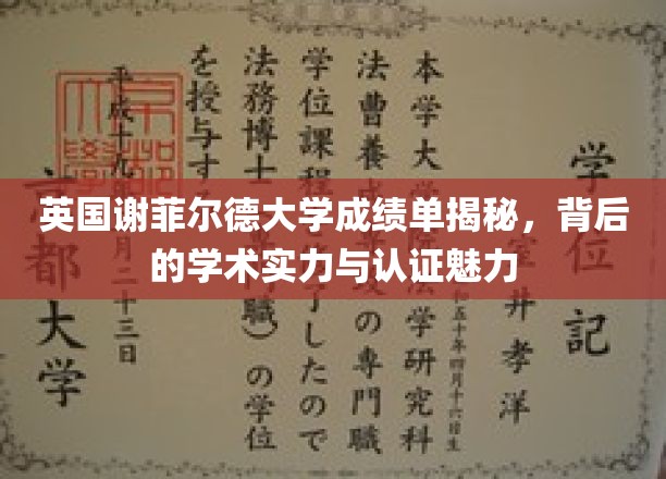 解码谢菲尔德大学，成绩单背后的学术光芒与认证奥秘