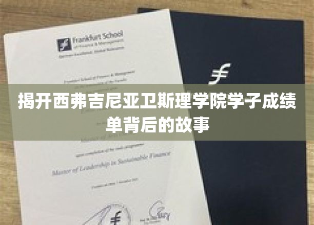 探寻西弗吉尼亚卫斯理学院学子卓越成绩背后的秘密之旅